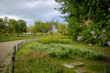 Pathway Through Blooming Flowers and Lush Trees on a Cloudy Day