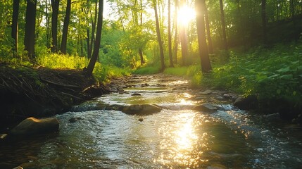 Fototapeta premium 森林と渓流