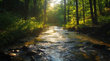 Obraz premium 森林と渓流