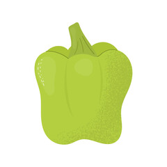 Whole green bell pepper. Fresh products. Green sweet paprika. Vector illustration isolated on white background.