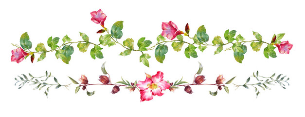 watercolor painting of leaves and flower, on transparent background