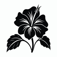 hibiscus vector illustration