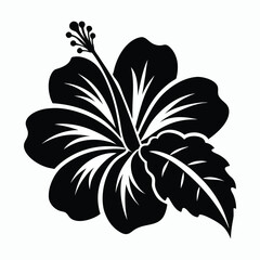 hibiscus vector illustration