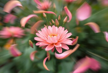 Petal Push Intentional camera movement showcasing flower petals