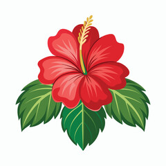 hibiscus vector illustration
