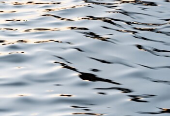 Seaweed Emerald a dark rich green hue inspired by seaweed found