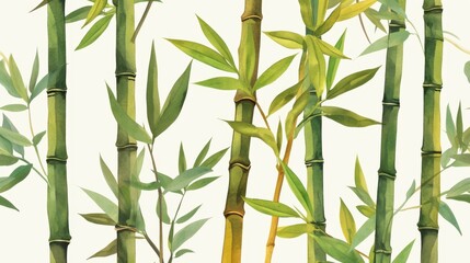 Watercolor green bamboo stalks with lush leaves on a , isolated illustration for postcards, banners