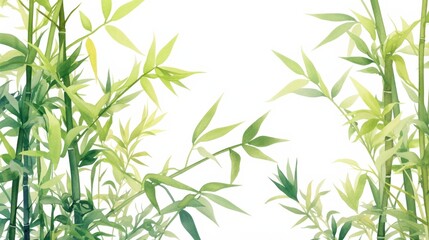 Naklejka premium Watercolor green bamboo stalks with lush leaves on a , isolated illustration for postcards, banners
