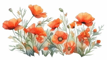 Naklejka premium Watercolor bouquet of red poppies with detailed green leaves, minimalistic isolated illustration on white background for postcards, banners