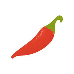 Whole red chilli pepper. Hot pepper. Vector illustration isolated on white background.
