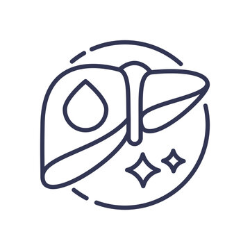 recommend clip art: Line art of a liver with sparkles, symbolizing detoxification and purification.