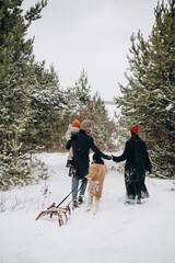 Winter holidays and people concept - happy family with little daughters choosing Xmas tree at forest. Happy preparation for the celebration of New Year holidays, family portrait on the walk