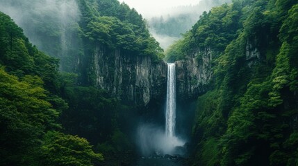 A serene shot of the towering waterfalls in Nikko National Park, with lush green forests and mist