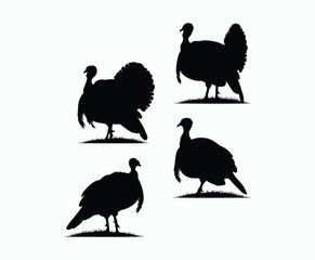 Obraz premium Turkey Silhouette Collection Silhouette