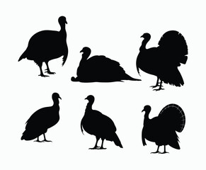 Obraz premium Turkey Silhouette Gathering Together EPS Vector Template Illustration