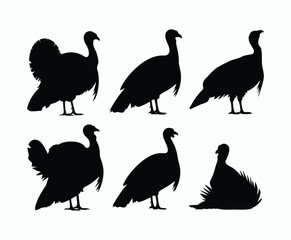 Fototapeta premium Turkey Silhouette Playful Poses Silhouette EPS Vector Template