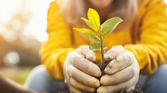 Volunteers helping elderly community members with household tasks, creating a positive change on National Make a Difference Day