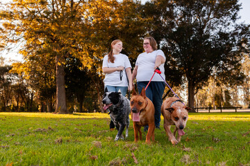 Young Australian sisters and with their cattle dog pets walking together on leads at the park