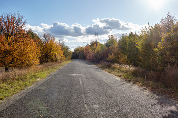 Asphalt country road near trees. A bend road at rural Europe