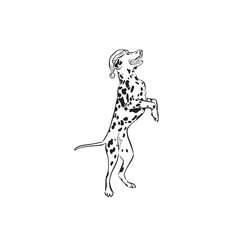 A Dalmatian wearing a Christmas hat on hind legs, spotty dog, canine vector.