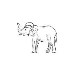 A sketch of an elephant wearing a Christmas hat. Trunk in the air wide profile sketch as a vector. 