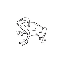 A hand drawn frog wearing a Christmas hat. Side profile frog in black and white sketch. Line drawing Santa hat.