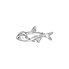 A fish sketch. A fish wearing a Christmas hat. Shaded with lines. Fins, gills, tail.