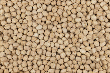 Raw chickpeas (Cicer arietinum), protein-rich legume, in close-up