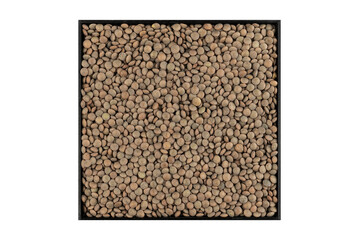 Raw lentils (Lens culinaris) in an eco-friendly black square bowl on a white background from Lanzarote Island, Canary Islands, Spain