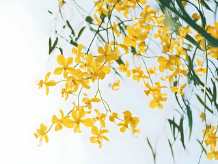 A close-up of vibrant yellow flowers against a soft background, showcasing nature's beauty.
