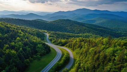 Fototapeta premium Aerial View of Winding Asphalt Road Through Lush Green Forest and Mountains in Summer, Bird's-Eye Perspective in Europe, Landscape Photography