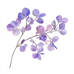 Naklejka premium Watercolor violet branch, gentle, elegant on white background 