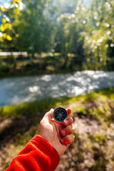 tourist compass in hand in the summer forest