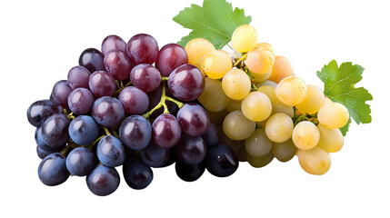 Fototapeta premium A fresh bunch of grapes isolated on a white background, showcasing sweet red and green berries