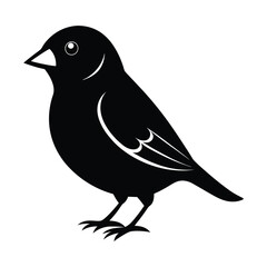 Black Color Finch Vector Silhouette With White Background