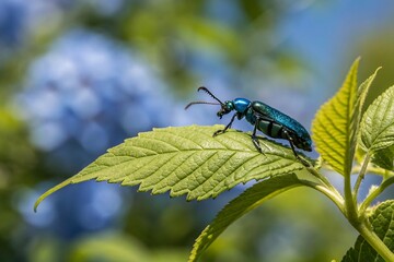 Blue Insect on Green Leaf - Nature's Beauty in Focus