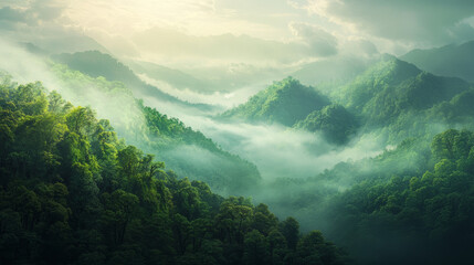 Obraz premium A lush green forest with misty clouds paints a picture of nature's beauty. This rainforest ecosystem reminds us to protect and restore our natural world.