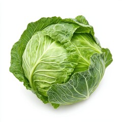 A fresh, green cabbage with tightly packed leaves, showcasing its vibrant color and crisp texture.