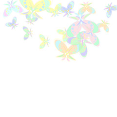 butterfly and flowers