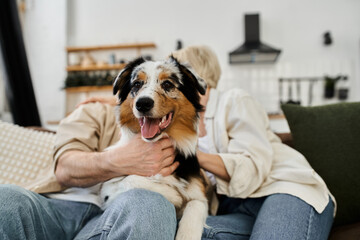 A couple embraces each other on the couch, delighted by the presence of their playful dog.