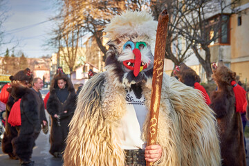 Comănești, Romania, December 2023: Local man dressed in bear fur, Romanian traditions, participates in the bear dance in the Comănești Traditions Festival 
