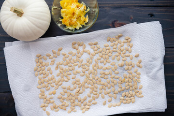 Cleaned Pumpkin Seeds Drying on Paper Towels: White pumpkin seeds cleaned and dried on a paper...