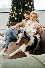 A couple relaxes together on a couch, enjoying each others company with their cheerful dog nearby.