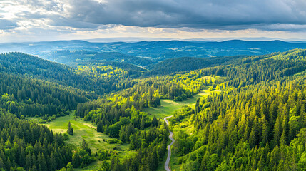 serene green forest landscape with winding road under cloudy sky