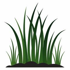 Fototapeta premium green grass on white background