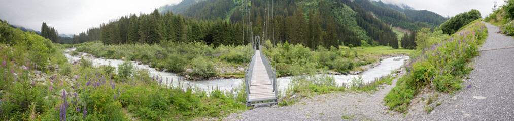 hanging bridge over torrential Landquart river, wild lupins at the riverside, hanging bridge...