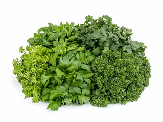 Obraz premium A variety of fresh green herbs arranged together, ideal for cooking and garnishing.