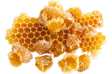 Honeycomb Close-up