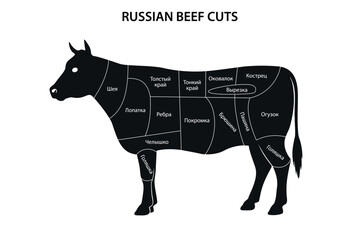 Diagram of Russian Beef Cuts on Cattle Silhouette