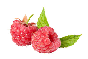 raspberries